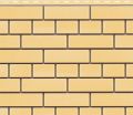 Фасадная панель Доломит, Прокрашенный кирпич, Желтый цвет. купить в Казани