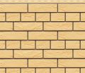 Фасадная панель Доломит, Кирпич Славянка, Желтый  купить в Казани