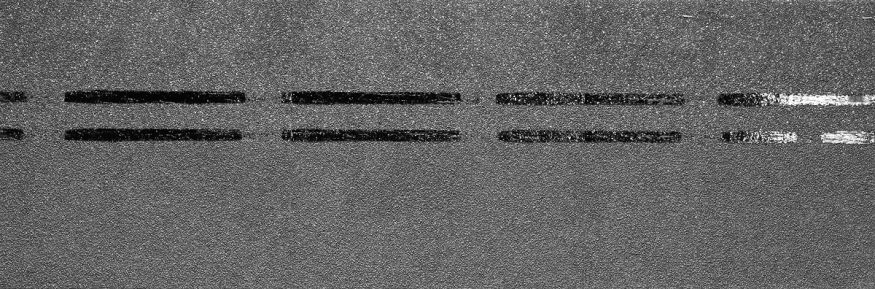 Коньково-карнизная черепица Docke, Premium, Черника купить в Казани